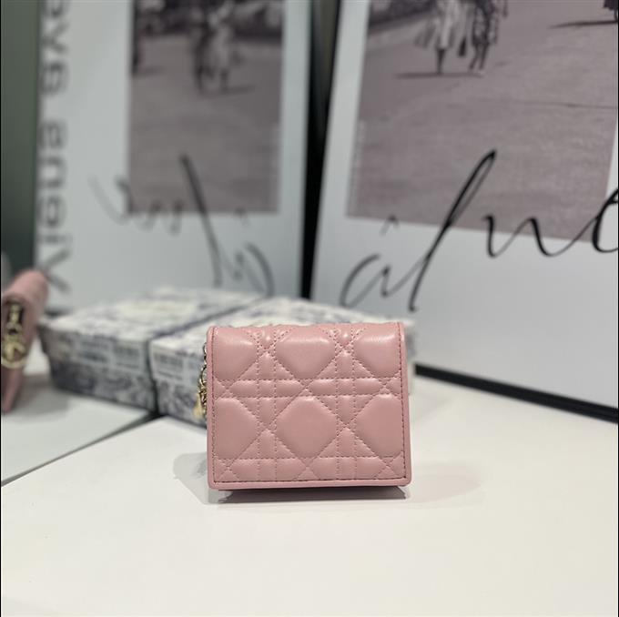 2025228Y 220P18214398